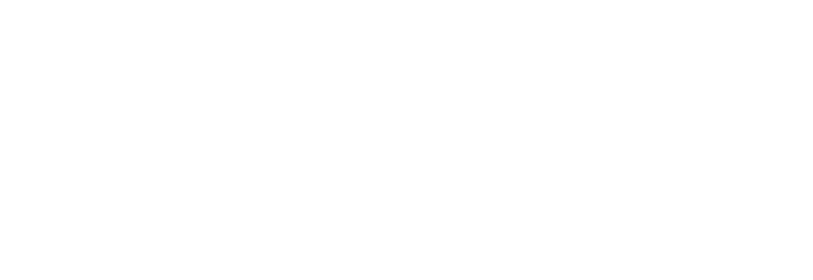 Fapin